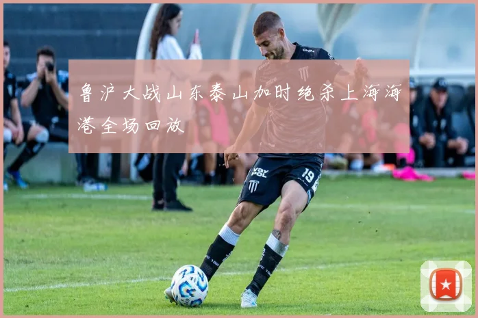 鲁沪大战山东泰山加时绝杀上海海港全场回放