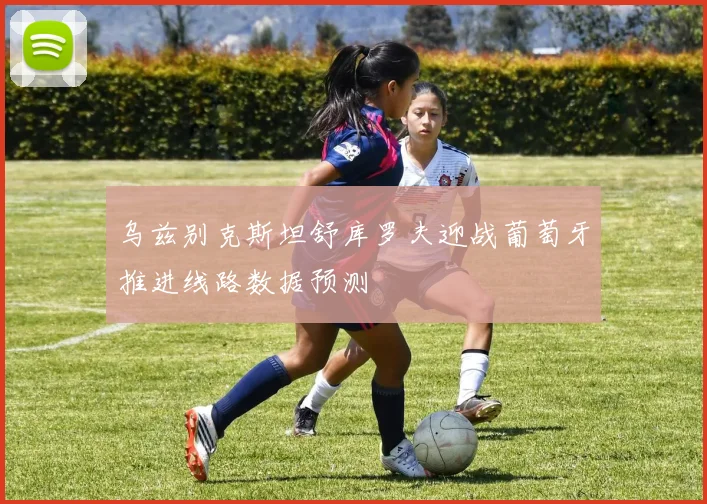 乌兹别克斯坦舒库罗夫迎战葡萄牙推进线路数据预测