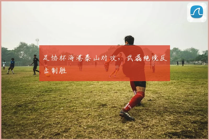 足协杯海港泰山对攻，武磊绝境反击制胜